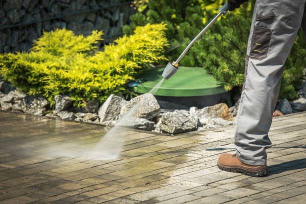 Animal Enclosure Cleaning in Pontiac, IL